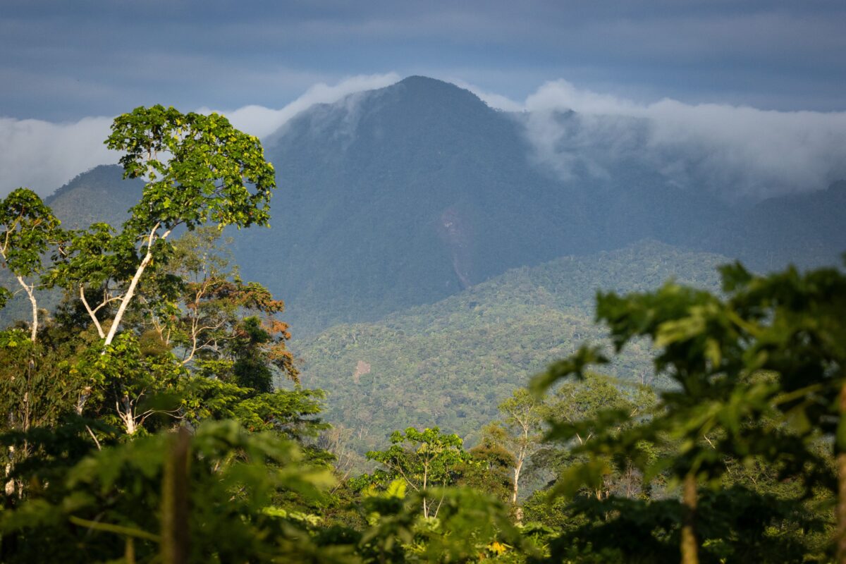 Strengthening and Expanding Peru’s Regional Conservation Areas Network