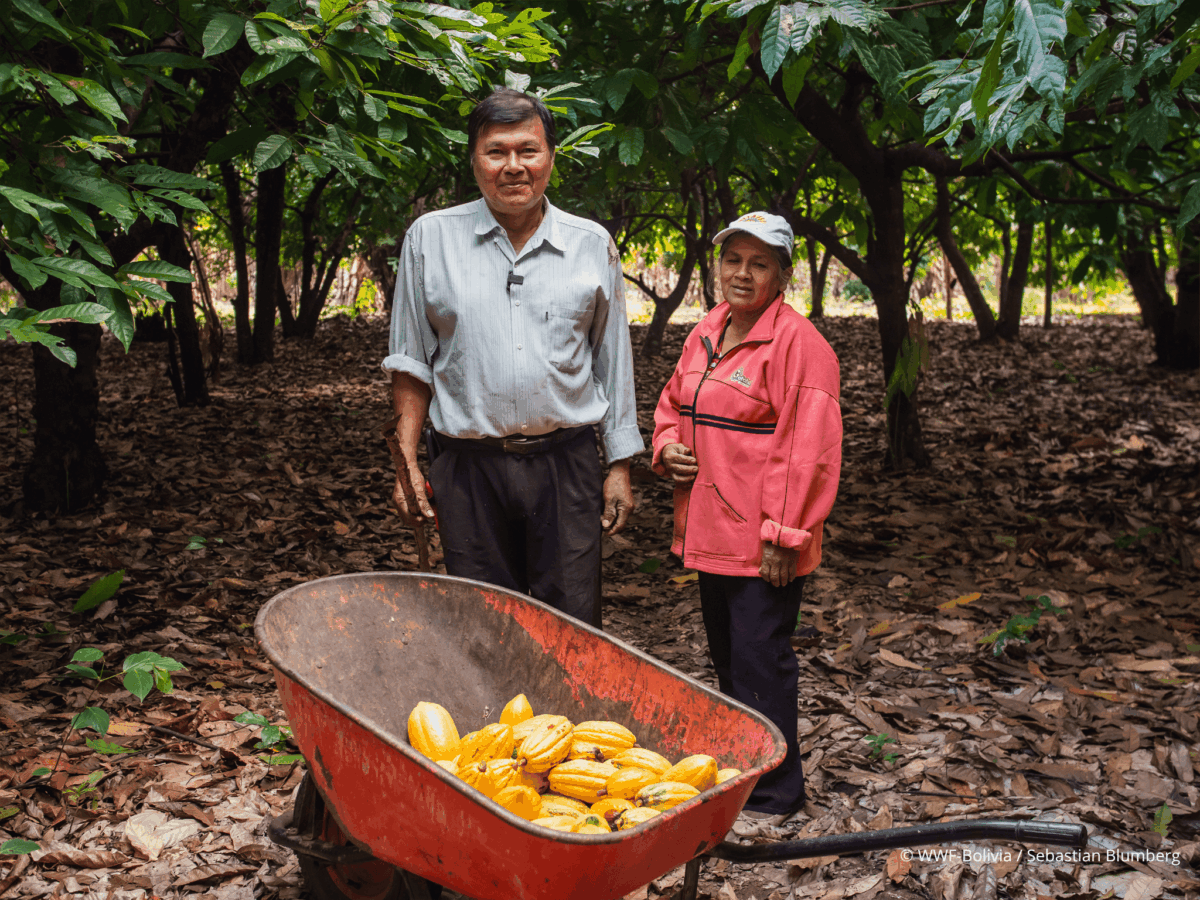 Developing an Interconnected Conservation Landscape Between Bolivia’s Amazon and Chiquitania