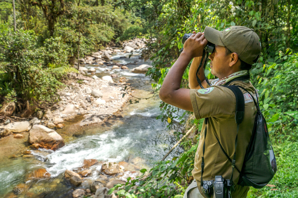Using advanced technology to guide regional conservation in Northern Ecuador’s Andes – Amazon region