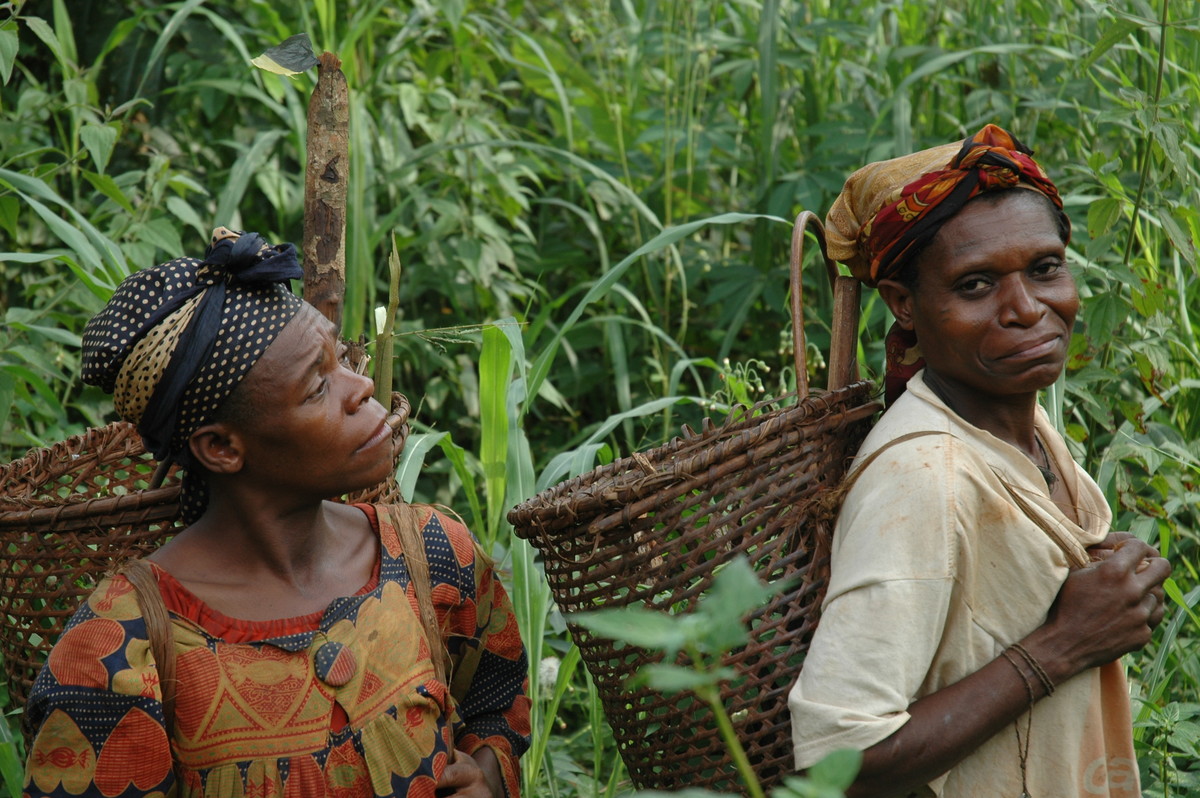 Synchronicity Earth Congo Basin Programme