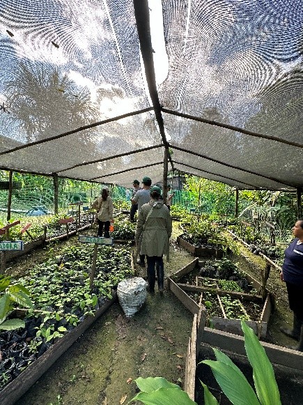 BioPuentes: Enabling a Regenerative Socio-Bioeconomy Across Colombia’s Amazon and Chocó Bioregions