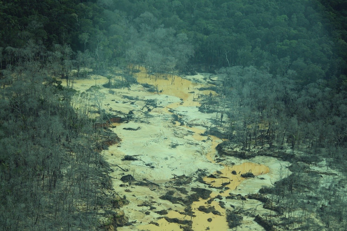Amazon Gold Flows: improving traceability and accountability to protect Colombian Amazon forests